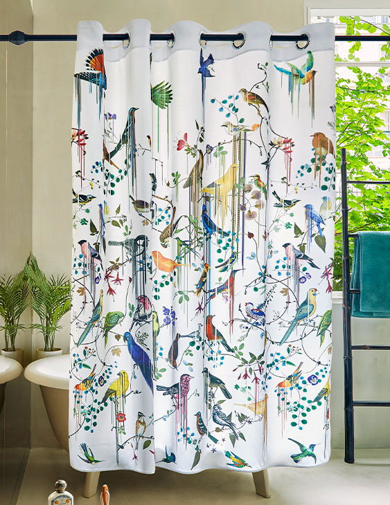 Birds Sinfonia